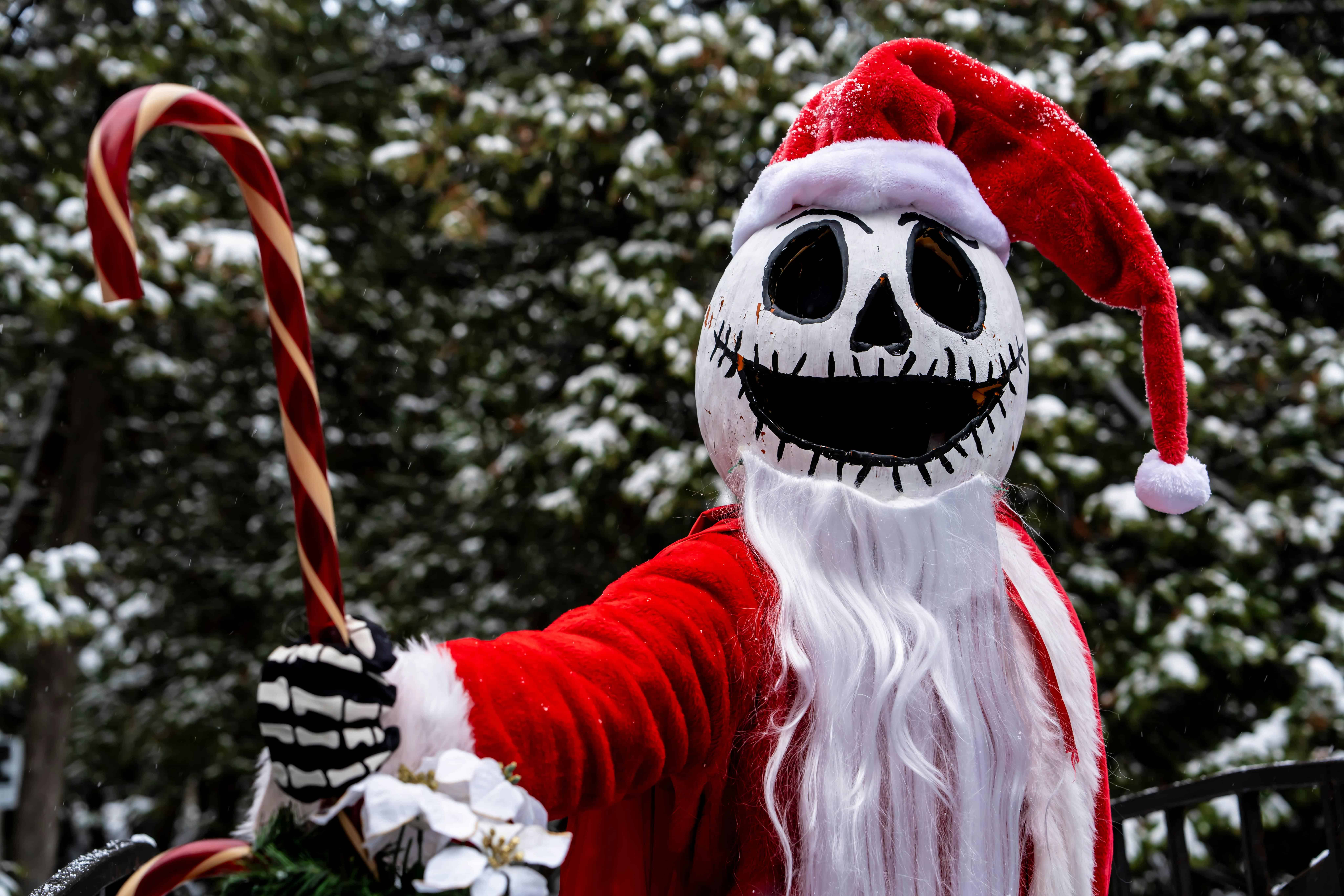 A festive skeleton in a Santa costume holding a candy cane, representing Can Muslims Celebrate Non-Islamic Holidays?